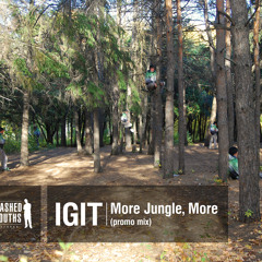 Igit - More Jungle, More
