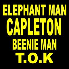 Elephant Man feat  Beenie Man & T.O.K & Capleton - Champonship - Dj aLiLoO Remix