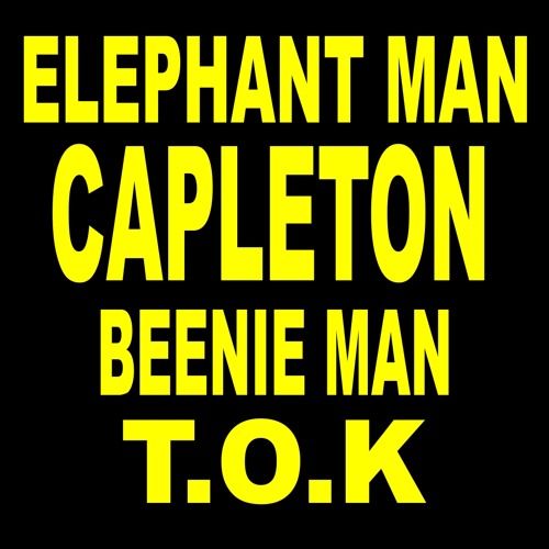 Elephant Man feat  Beenie Man & T.O.K & Capleton - Champonship - Dj aLiLoO Remix
