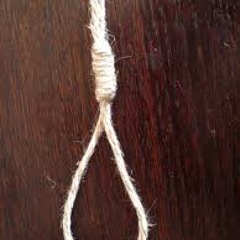 FICELLE              free mp3 320k new albom