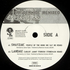 Systemwide - Carlos Jammy [ turkish stonewash remix by Landau ]