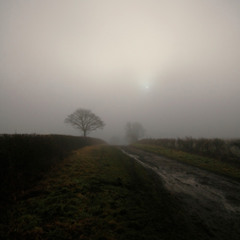 Nick Lawson - Daphadandilly