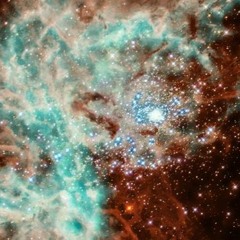 Back&4th - DRiFTElectro