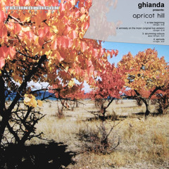 ghianda - amnesty on the moon (original live version)