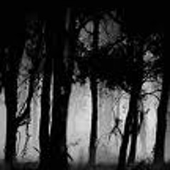 Black Sushi - Forest devil by MR TOOLS(remix)