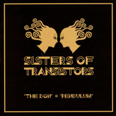 Sisters of Transistors - The Don (Acid Girls Grey Disco Remix)