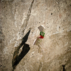 Shulman - Inner Selves (Autism Child Dub Remix)