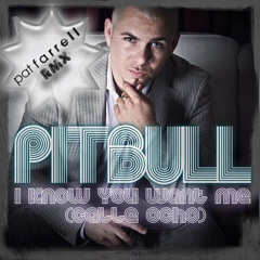 Pitbull - I know u want me - Pat Farrell Remix