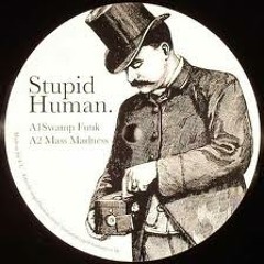 Stupid Human   Swamp Funk.wmv