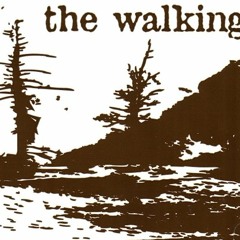 05 The Walking: The Soldier