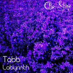 Tabb - Inner Synth (Chic Shine Records)