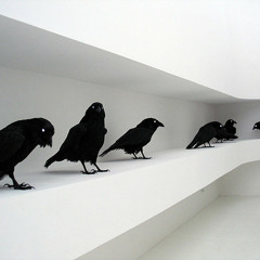 How Convinient _ Bird Walk