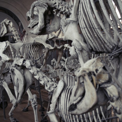 Aseptisé