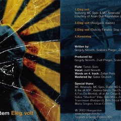 Anima Sound System vs Asian Dub Foundation : Elég Volt (Anorganik Rework) [2002]