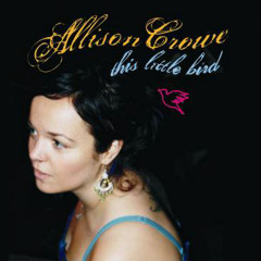 I Never Loved A Man (The Way I Love You) - Allison Crowe (Ronnie Shannon)