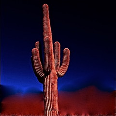 DJ4Kat - At the Edge of the Cactus [Instrumental]