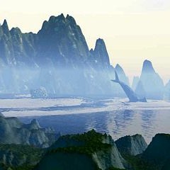 Whale Songs
