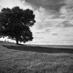 Soko - I will never love you more