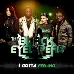 Black Eyes Peas_I Gotta Feeling_Fractal System Remix(Red Headz Electro Breaks Re_Drum)
