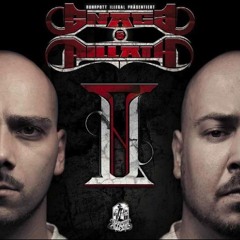 Snaga & Pillath - Wohin führt uns unser Weg