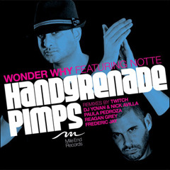 Hand Grenade Pimps – Wonder Why (Paula Pedroza Sexy Mix) - [Mile End Records]