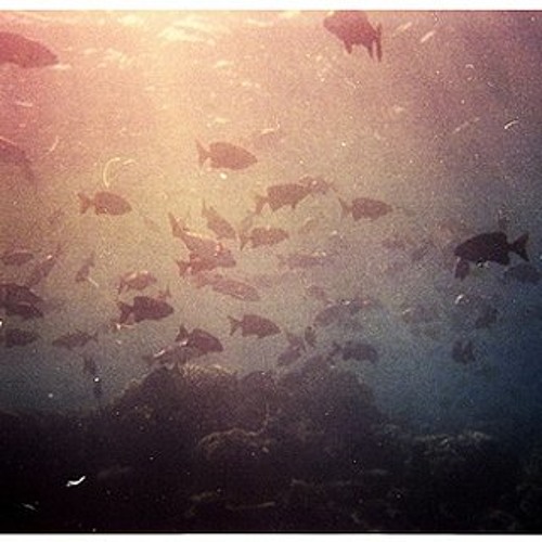 My Body Is A Cage (arcade fire)