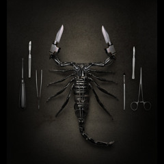 NEK-November 2010 Mix