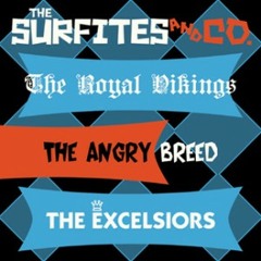 Ankle Busters (The Surfites)