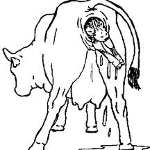 Zoubir Madani - Leave the cow alone