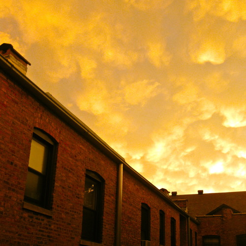 I Need A Dollar (Whispa Instrumental Remix)