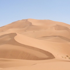 The Desert Bride - A live session of Artists in the Jordan Valley featuring Carlie Fairburn