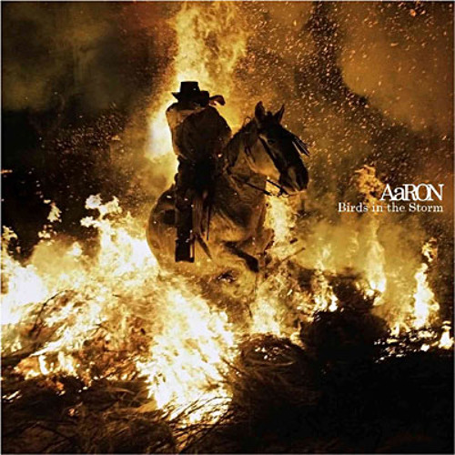 AaRON - Embers