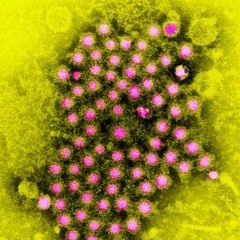 Mother whats wrong with me