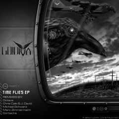 GO!DIVA - Time Flies (Michael Schwarz Remix)