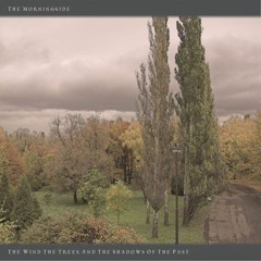The Morningside - The Shadows Of The Past