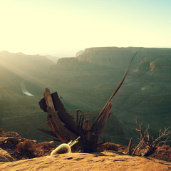 Martijn K. - Free your mind