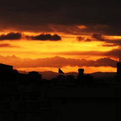 What's the difference with you