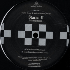 Manifestation (Paul Ritch Remix) - Martin Eyerer & Anthony Collins