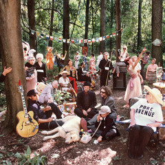 Plants and Animals - Bye Bye Bye