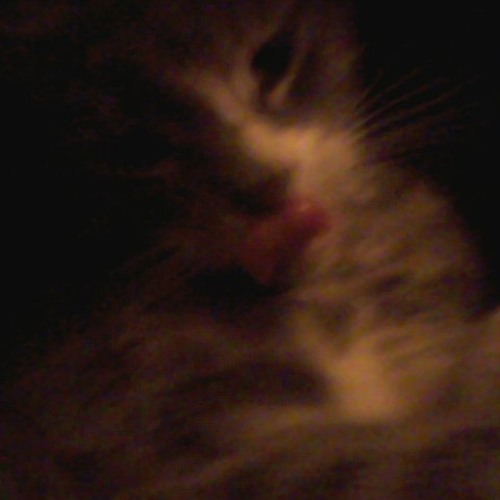 innovative and cassette label