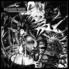 Optiv - Brainworm