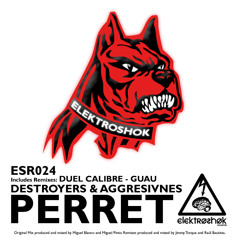 Perret (Duel Calibre Remix) - Destroyers & Aggresivnes