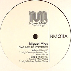 Miguel Migs" Take Me to Paradise" Mig's Deluxe Remix