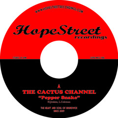 The Cactus Channel - Pepper Snake