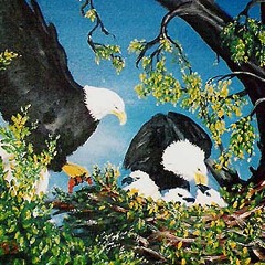 EAGLES NEST (ruff-edit)