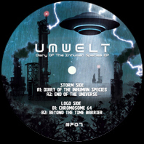 Umwelt : End Of The Universe - Newflesh Records (NF07)