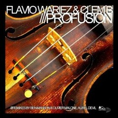 Flavio Wariez & Clem B - Profusion (Original Mix)