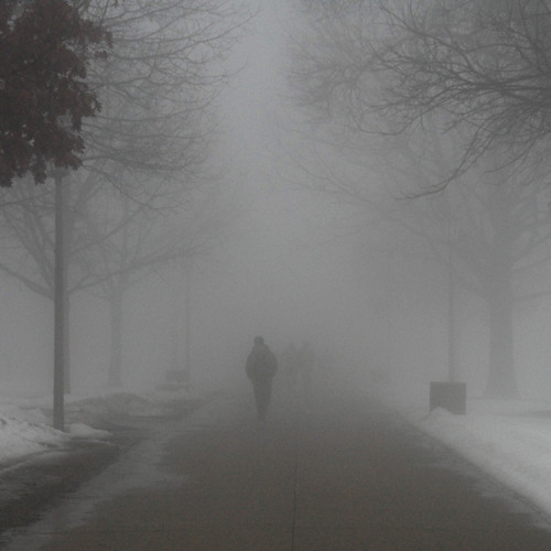 Lost in the Freezing Fog