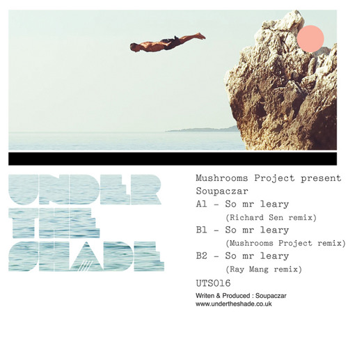 Mushrooms Project Presents Soupaczar remixes - UNDER THE SHADE
