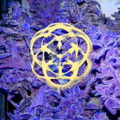 M¥rrĦ Ka Ba - G666 (ìηdíca☤d℄℄per edit)